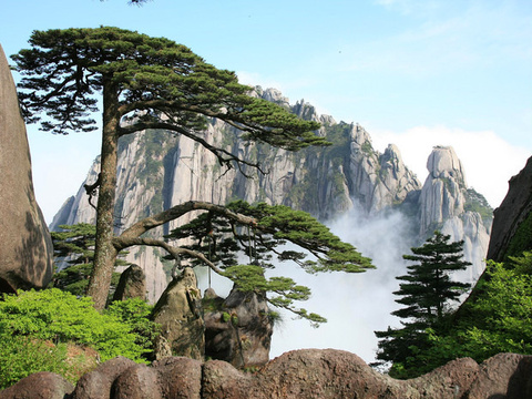 【獅創關注】黃山風景區專題會議旅游策劃針對黃金周