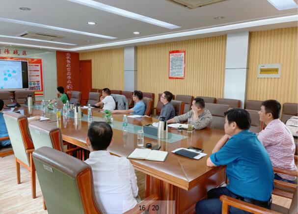 諾獅完成蕪湖清水街道濱江文旅鄉村振興項目規劃設計和匯報
