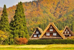 產業研究|“第六產業”您可知？